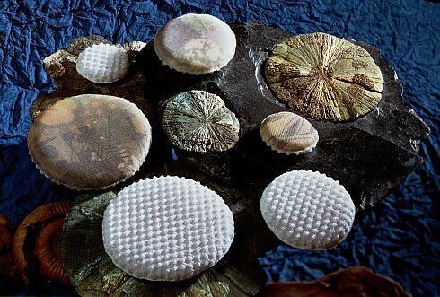 a592-2002-01-31-b1x Tissopur Wundpads.jpg